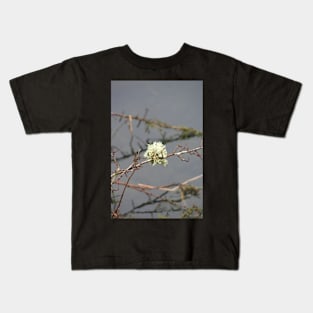 Lakes: Moss and twigs Kids T-Shirt